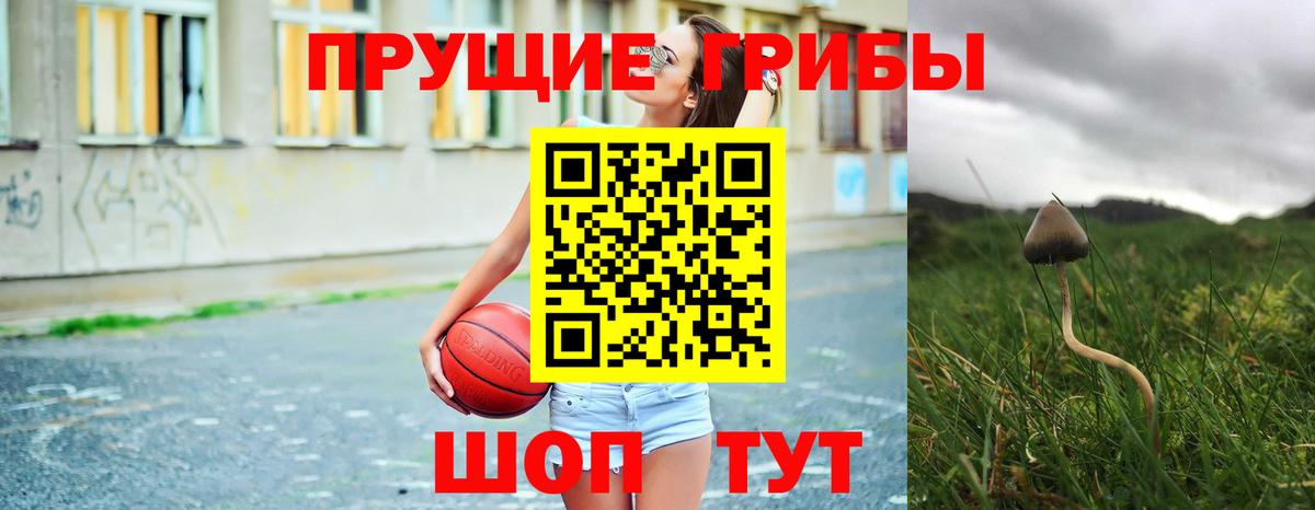Псилоцибиновые грибы Psilocybine cubensis  Вход с VPN  Вологда 